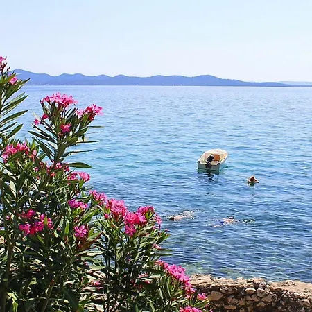 Blue Adria Zadar-kozino - Cdn021024-cya Kožino